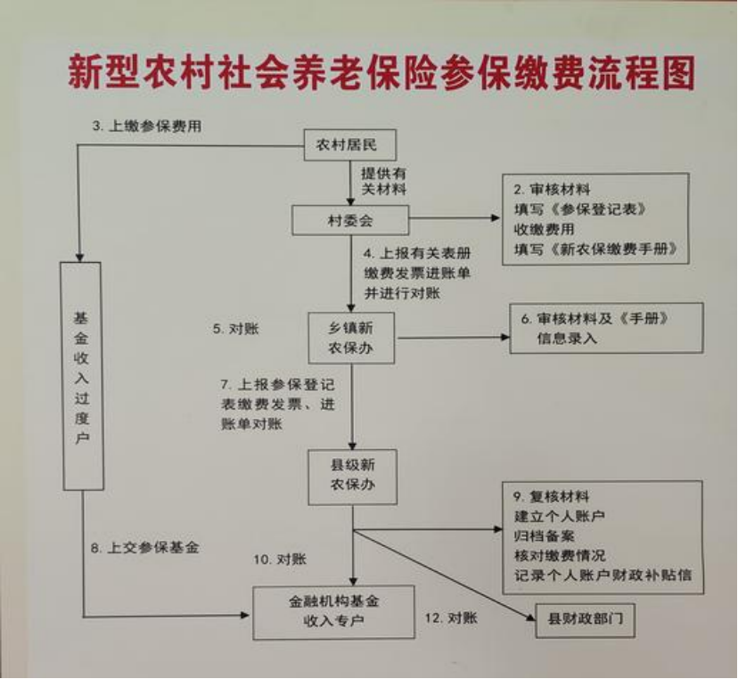 儋州农村医保和社保有什么区别(农村医保跟社保的区别)