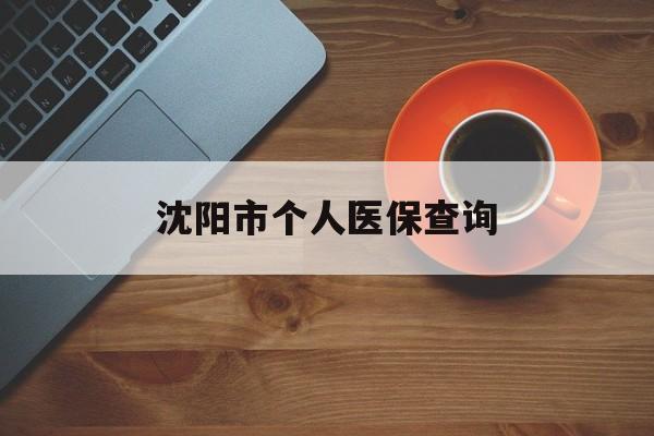 儋州沈阳市个人医保查询(沈阳市个人医保查询个人账户)